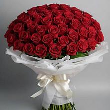 Букет 101 Красная роза Блэк Мэджик в Пряже