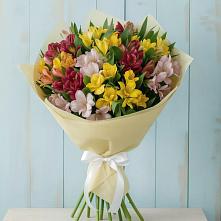 Букет цветов из:  Альстромерии в Пряже