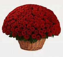 Премиум букет из: Розы в Пряже