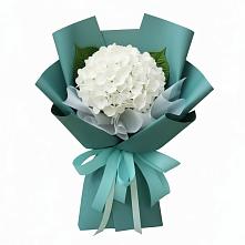 Букет цветов из:  Гортензия #REPLACE_PRED# Пряже